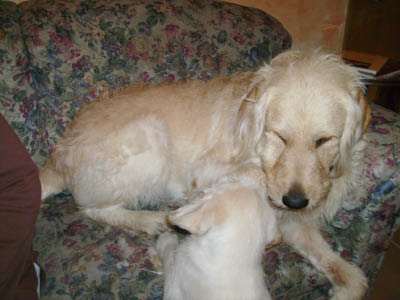 PICT0283