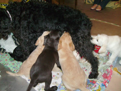 PICT0286