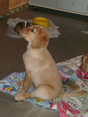 PICT0294