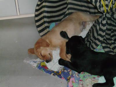PICT0297