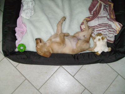 PICT0303