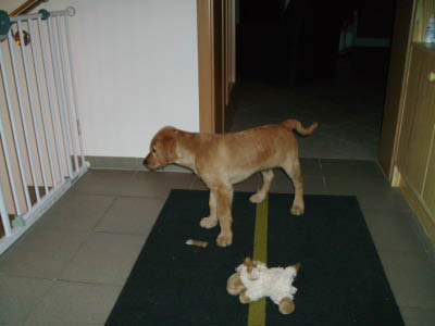 PICT0304