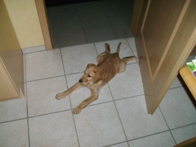 PICT0308