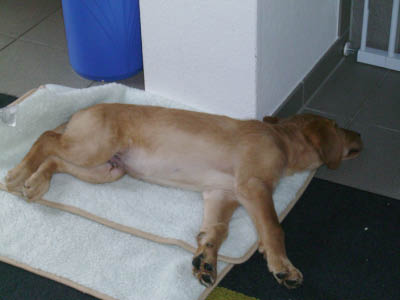 PICT0311