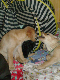 PICT0281