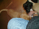 PICT0293