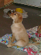 PICT0294