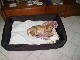 PICT0301