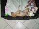 PICT0303
