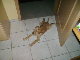 PICT0308