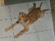 PICT0310